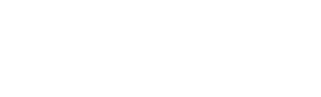 Insight Partners Logo