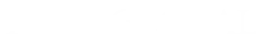 Tiger Global Logo